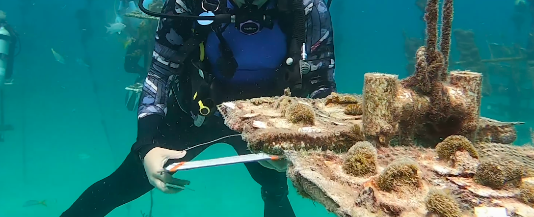 Concrete-based Artificial Coral Reefs